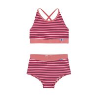 raspberry/ terra cotta