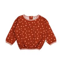 WALKIDDY - BROWN DOTS-SWEATSHIRT - SWEAT LANGARMSHIRT - BROWN WALKIDDY - BROWN DOTS-SWEATSHIRT - SWEAT LANGARMSHIRT - BROWN