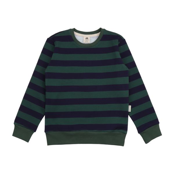 WALKIDDY - GREEN LINES-SWEATSHIRT - SWEAT LANGARMSHIRT - GREEN