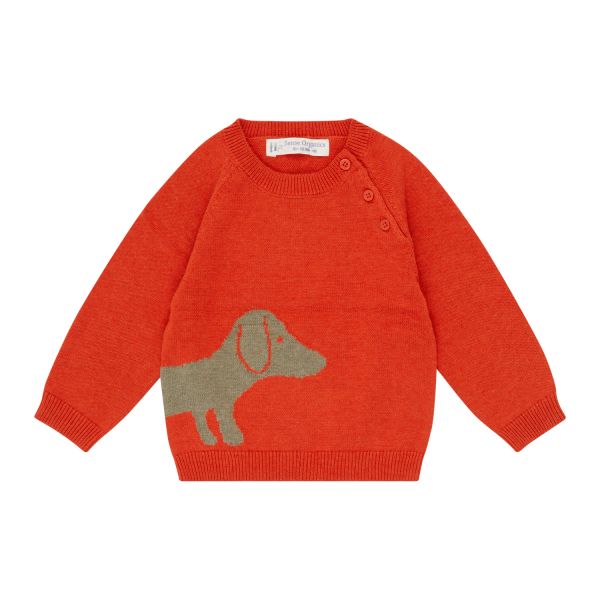 SENSE ORGANICS - VICTOR - BABY STRICKPULLOVER