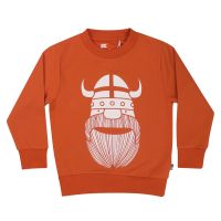 DANEFAE - DANEHENRI SWEAT - Jungen Langarm Shirt - Dark Occer ERIK DANEFAE - DANEHENRI SWEAT - Jungen Langarm Shirt - Dark Occer ERIK