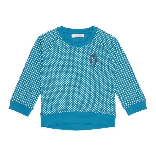 Sense Organics - DENA - RAGLAN SHIRT LANGARM